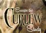 Escape the Curlew Study Nuneaton