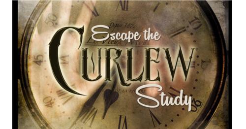 Escape the Curlew Study Nuneaton